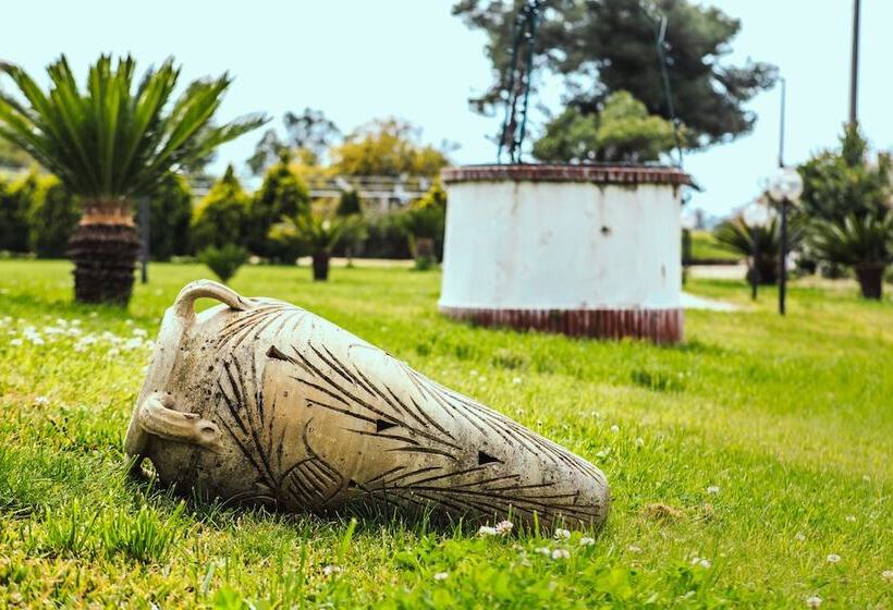 Отель Villa Maredona