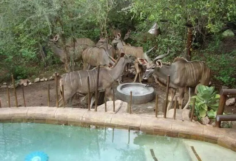 Marloth Kruger Accommodation