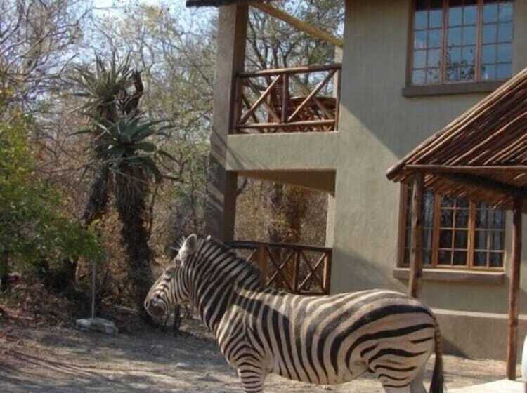 Marloth Kruger Accommodation