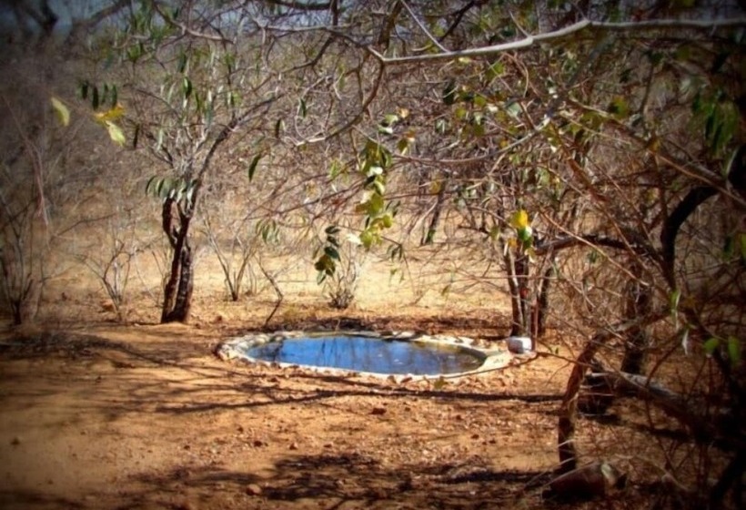 Marloth Kruger Accommodation