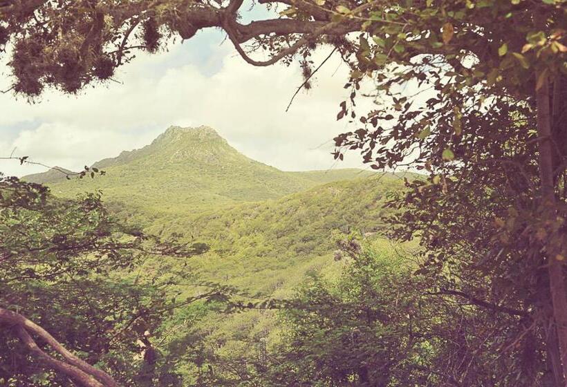 Palm Trees Apartments