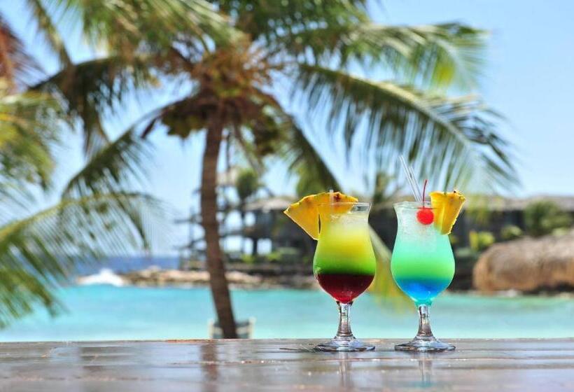 Palm Trees Apartments