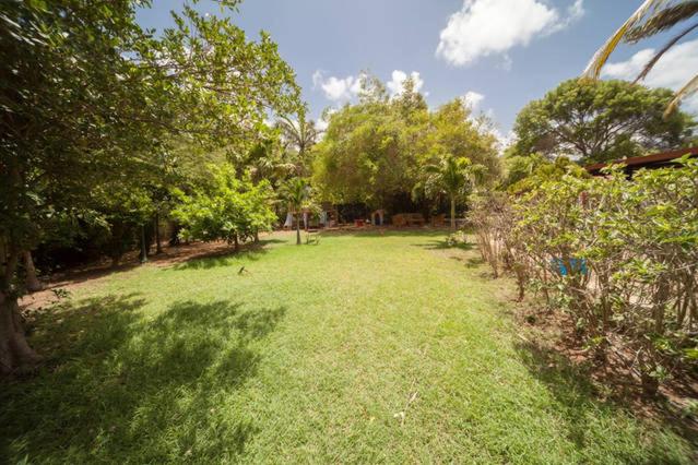 Palm Trees Apartments