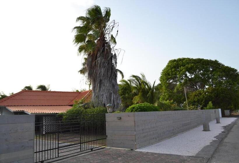 Palm Trees Apartments