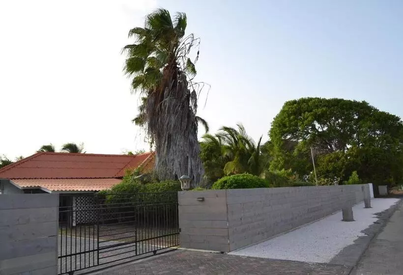 Palm Trees Apartments