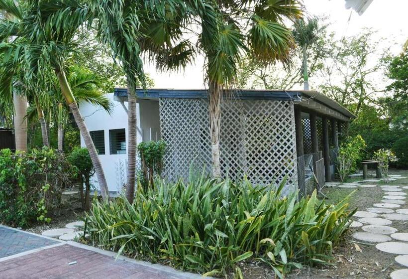 Palm Trees Apartments