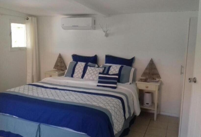 Palm Trees Apartments