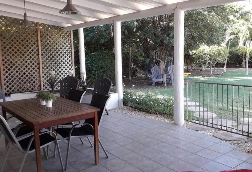 Palm Trees Apartments