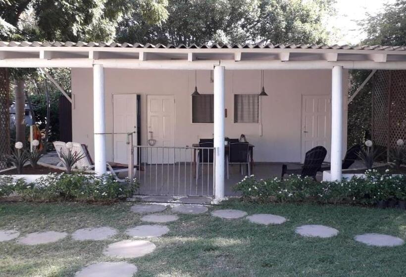 Palm Trees Apartments