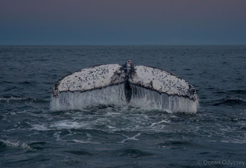 פנסיון On The Estuary