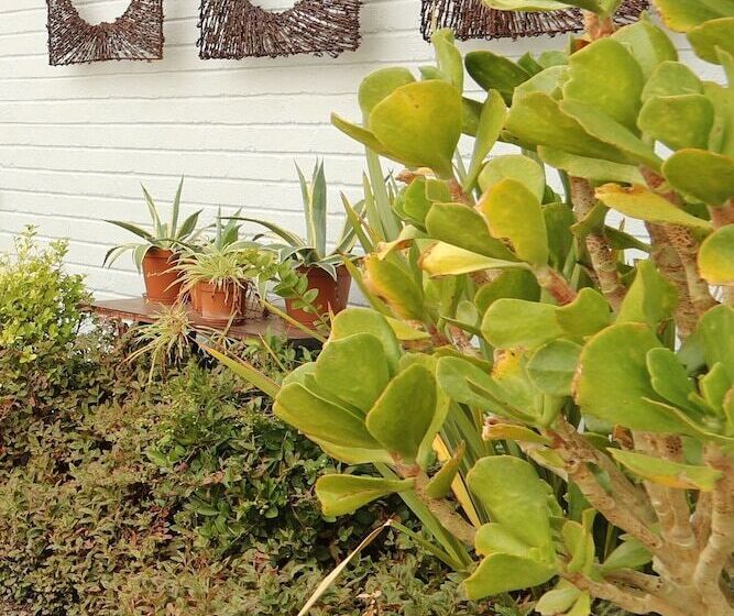 膳宿费 The Lighthouse Guesthouse