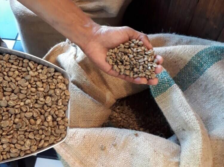 膳宿费 The Lighthouse Guesthouse