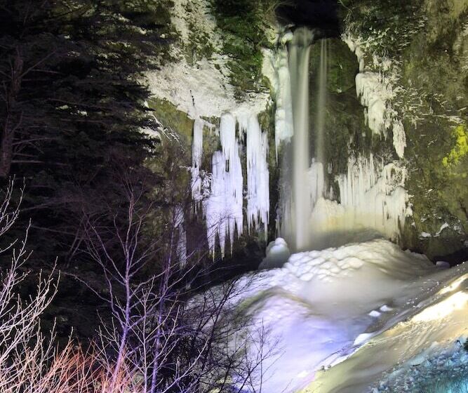 日式旅馆 Shinzanso