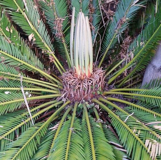 Six Valk Avenue Guest House