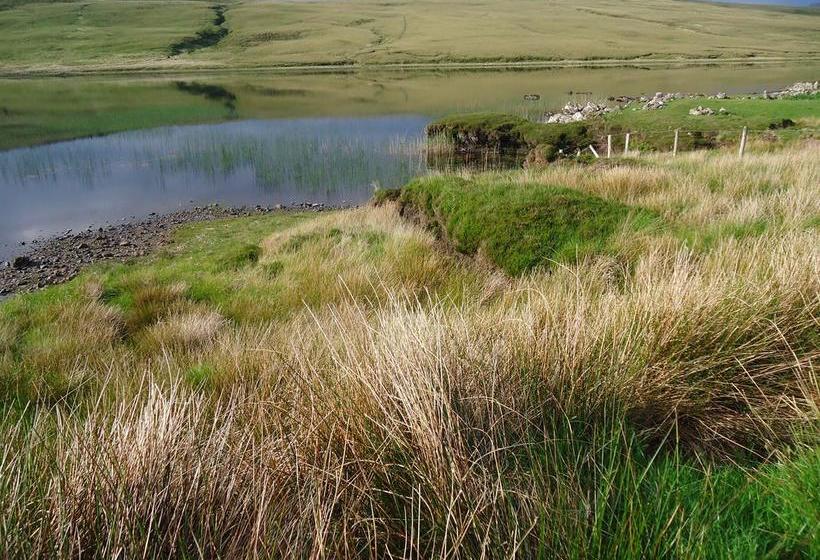 Bed and Breakfast Heather Lodge