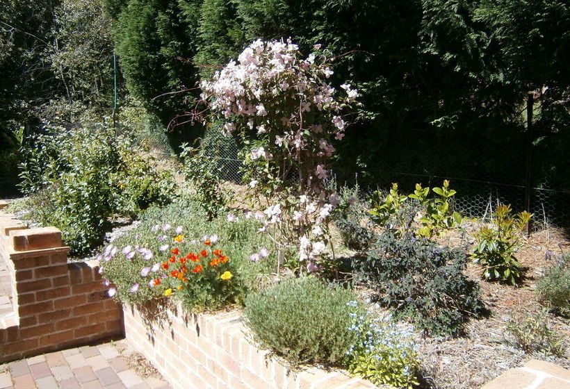 Darnell Bed & Breakfast