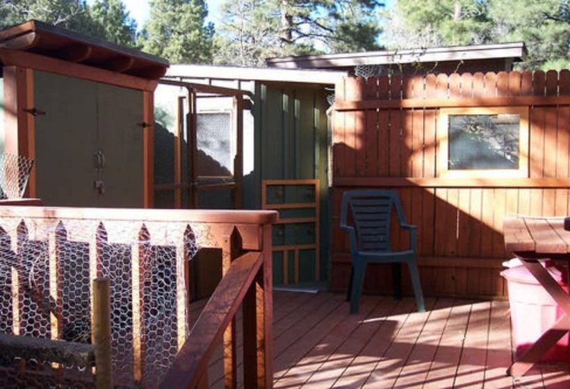 Elden Trails Bed And Breakfast