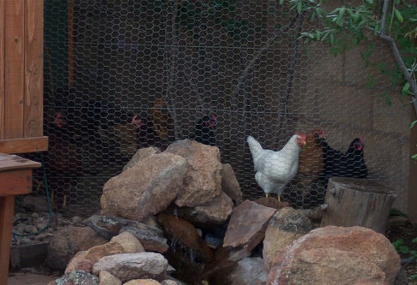 Elden Trails Bed And Breakfast