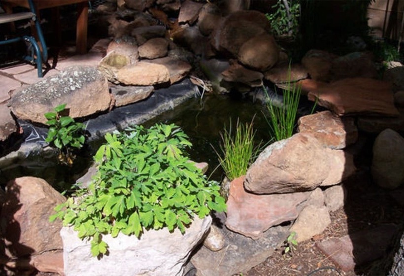 Elden Trails Bed And Breakfast