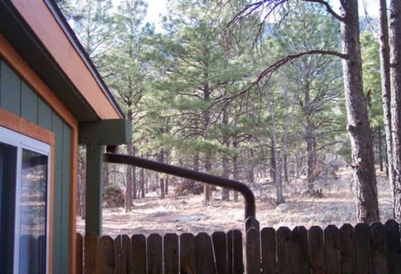 Elden Trails Bed And Breakfast