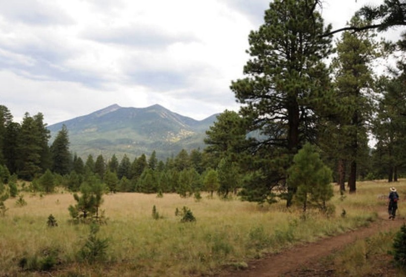 Elden Trails Bed And Breakfast