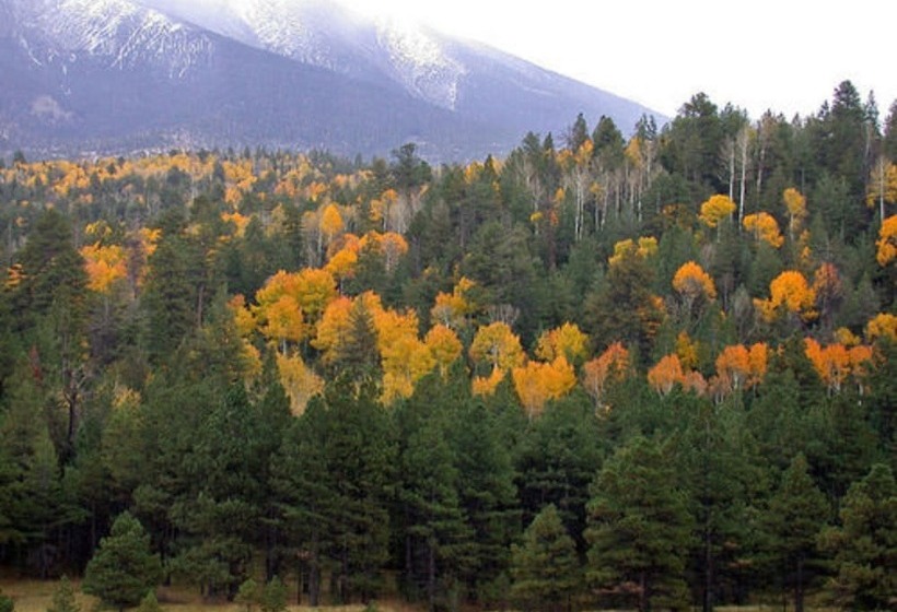 Elden Trails Bed And Breakfast