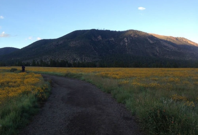 Elden Trails Bed And Breakfast