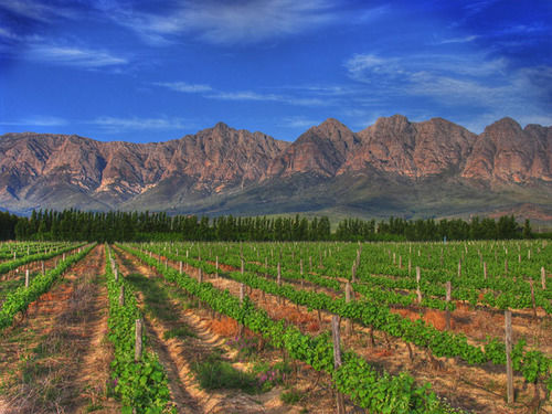 Seven Oaks Vineyard Cottages