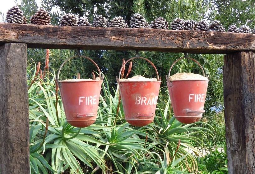 Seven Oaks Vineyard Cottages