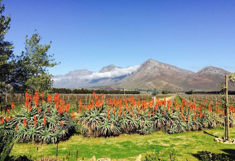 Seven Oaks Vineyard Cottages