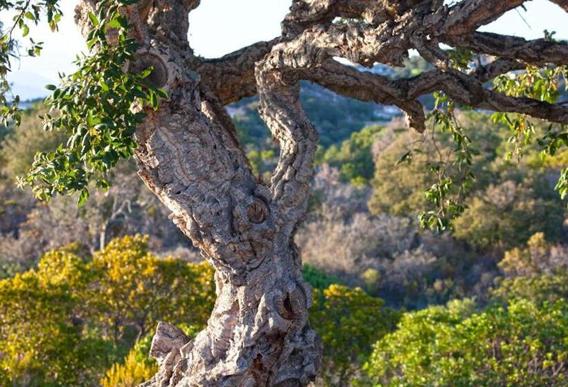 צימר Chambres D Hôtes Casa Di L Oru