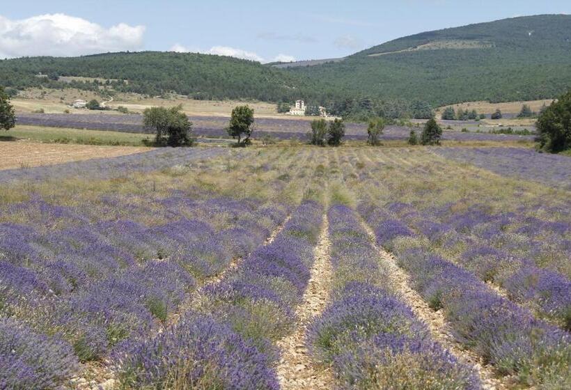 مبيت وإفطار Château De La Gabelle Férrassières