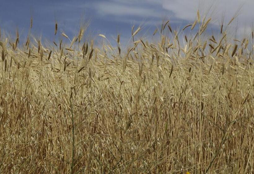مبيت وإفطار Château De La Gabelle Férrassières