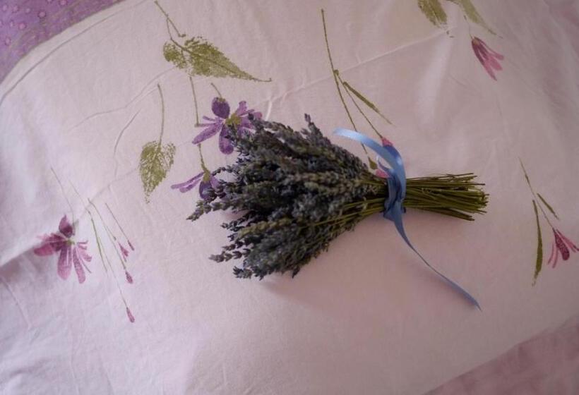 مبيت وإفطار Château De La Gabelle Férrassières