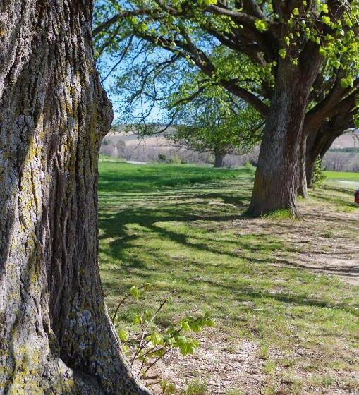 مبيت وإفطار Château De La Gabelle Férrassières