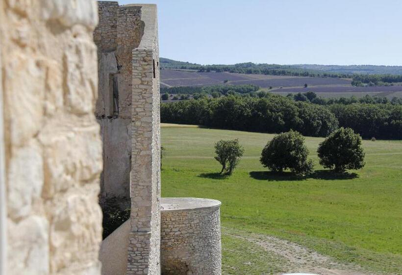 مبيت وإفطار Château De La Gabelle Férrassières
