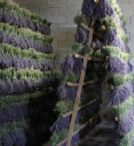 مبيت وإفطار Château De La Gabelle Férrassières