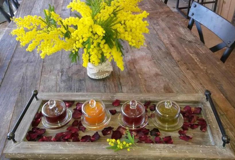 تختخواب و صبحانه Le Clos Des Cambres