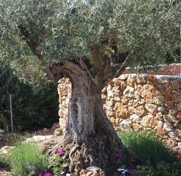 تختخواب و صبحانه Le Clos Des Cambres