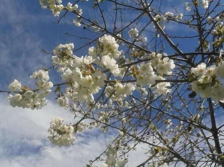 مبيت وإفطار L'enclos Des Jacobins