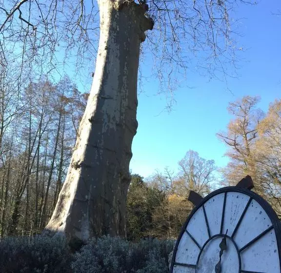 تختخواب و صبحانه Maison D'hôtes Moulin Saint Julien