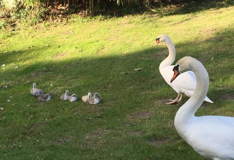 צימר Maison D'hôtes Moulin Saint Julien