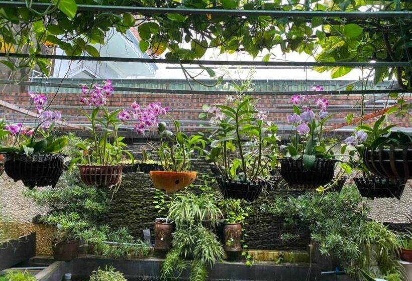 Catba Central Hotel 2