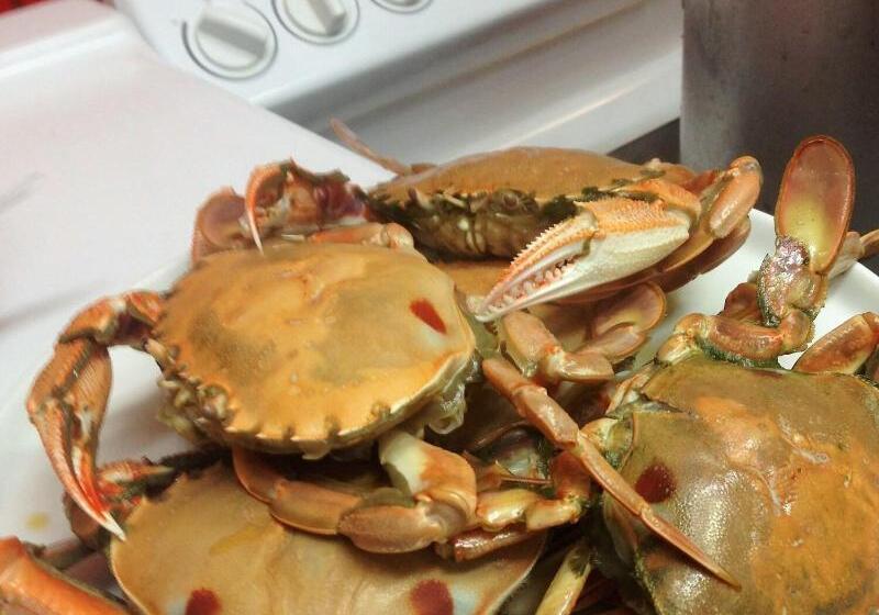 Abel Tasman Waterfront Motel