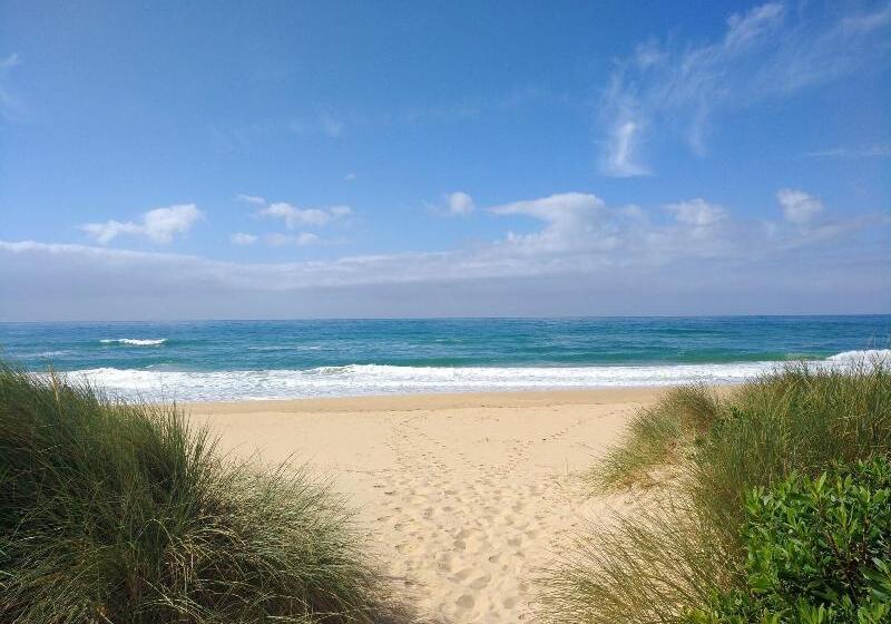 Abel Tasman Waterfront Motel