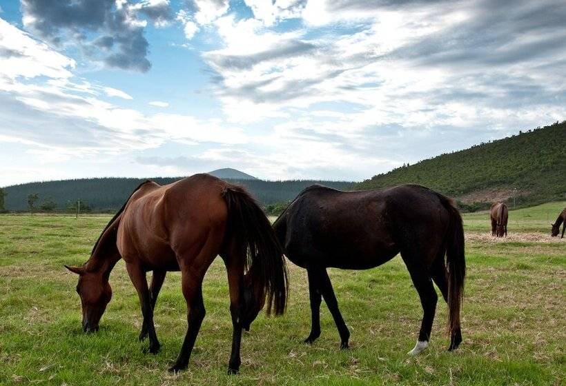 Country House At Kay & Monty