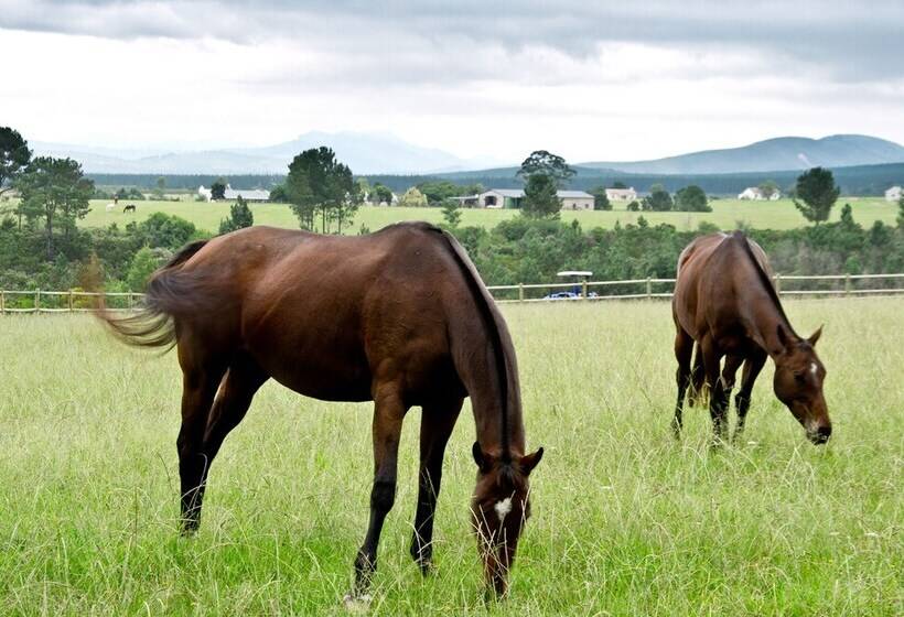 Country House At Kay & Monty