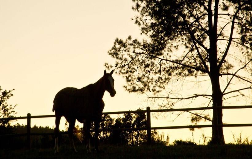 Country House At Kay & Monty