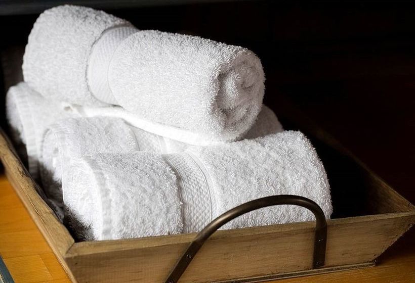 فندق فئة نجمة واحدة The Wife Of Bath