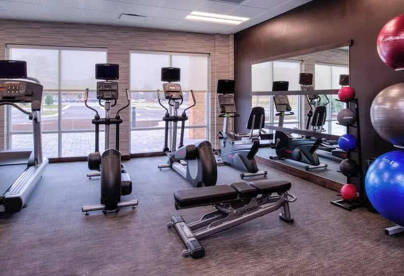 ホテル Courtyard By Marriott Detroit Farmington